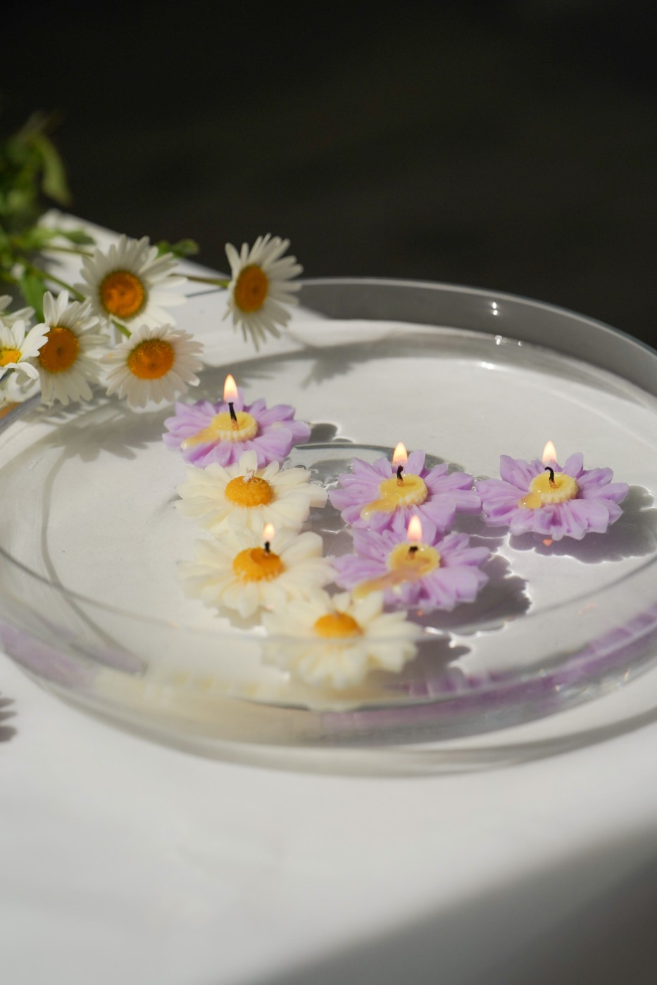 Květiny | Plovoucí svíčky 